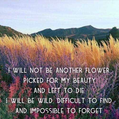 lovelustquotes:“I will not be another flower picked for my beauty and left to die. I will be wild, d