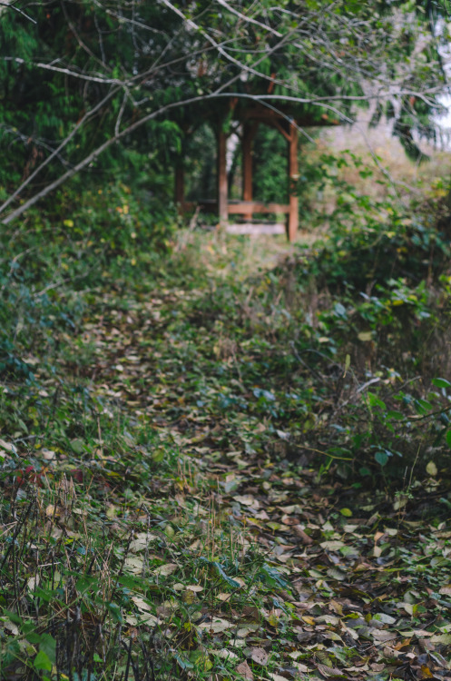 Leaf Path