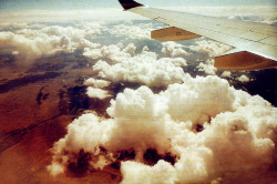 lafleurdesmurailles:  sans titre by eros turannos on Flickr.