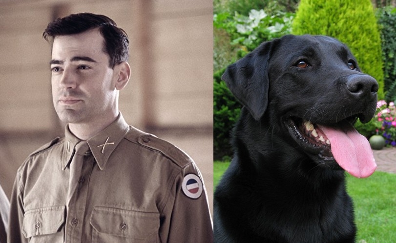 neverbelikeyoume:  Easy Company as dogs, because they are all a bunch of puppies