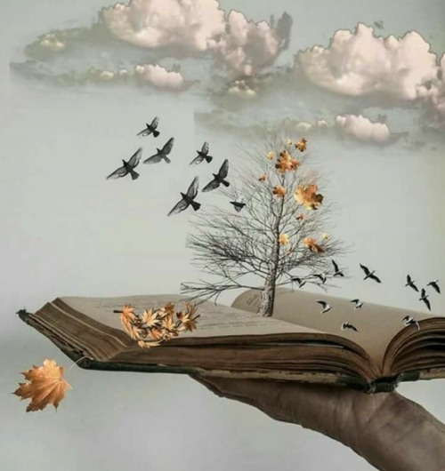 calientell:  💋💜📖