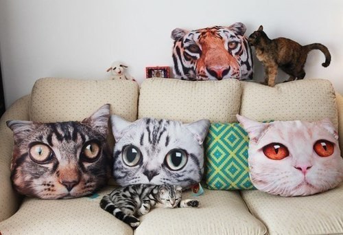 The Best of Tumblr Blog - 1000notes.com