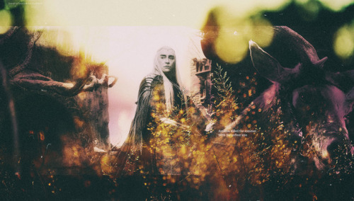 bestofleepace: The Elvenking