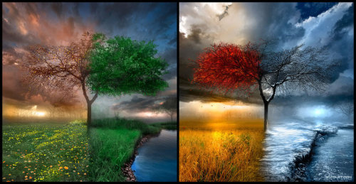 Four sunrises, four seasons adult photos