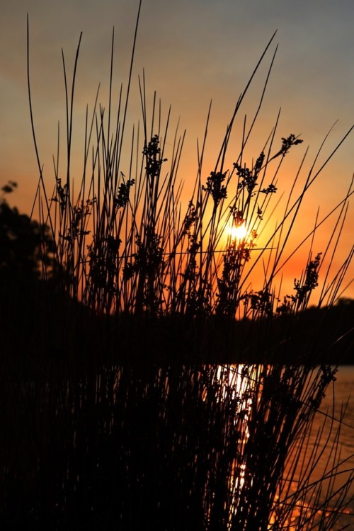 Late afternoon sun by light city photography