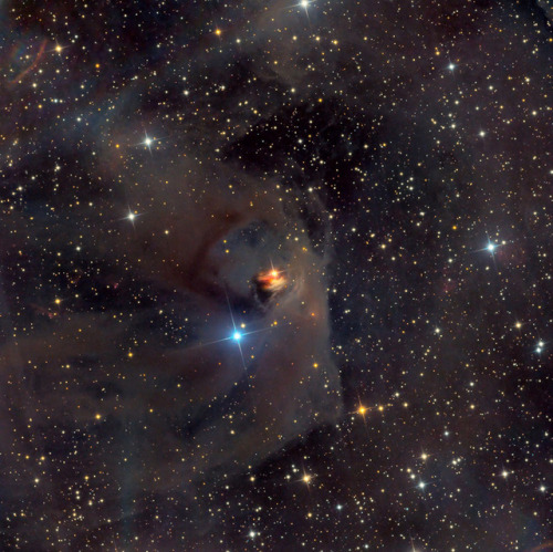back-to-the-stars-again - Hinds Variable Nebular, NGC 1555 in...