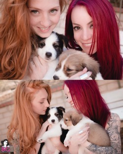 sglovexxx:  Antigone &amp; July Suicide in Puppy Love