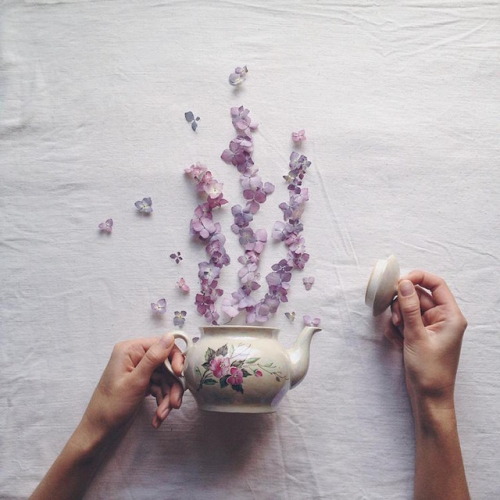 culturenlifestyle:Exquisite Photography Series That Depicts Dried Flowers and Tea SetsArtist, wife a