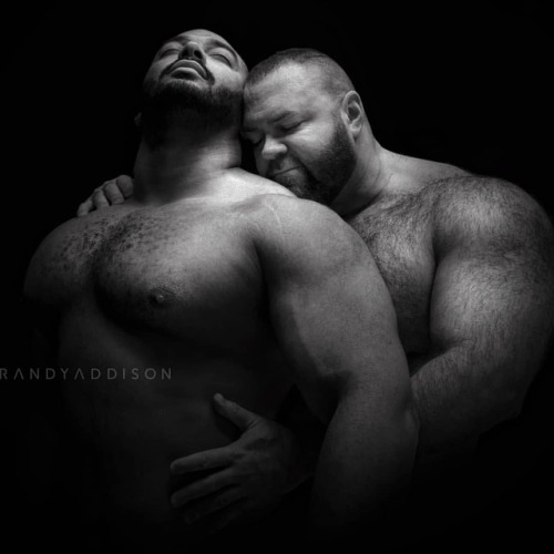 randyaddison-photographer: NICHOLAS AND JONATHAN … caught this dramatic angle of all that bee