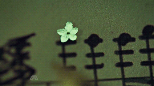 munchmeincookeh:  Flowers - Hannibal S2xE6 &amp; S2xE7 