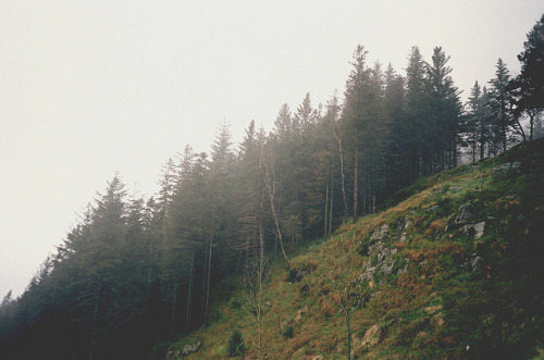 goingonsoeasily: Nature by Michelle Liando on Flickr.