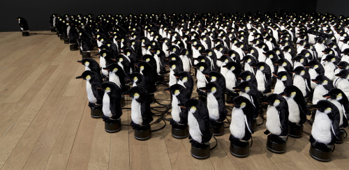 itscolossal:WATCH: An Interactive Mirror Built from 450 Rotating Penguins by Daniel Rozin 