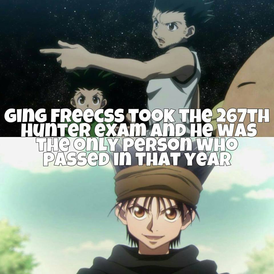 Anime Facts Curators - Ging Freecss took the 267th hunter exam and