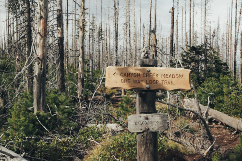 Three-Fingered Jack