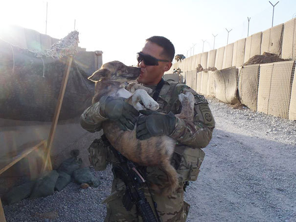 i-want-spankings:  ilovephilscock:  awesome-picz:  Soldiers And Pets Who Became Best