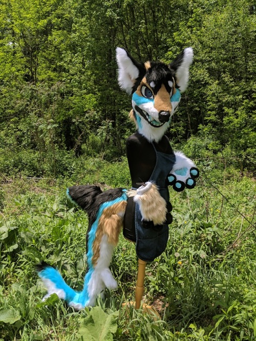 New Bab up for auction!https://www.furbuy.com/auctions/1103430.htmlAuction ends may 21st ;3
