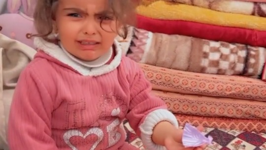 Donate to Gaza Emergency Appeal- Help my family, organized by Dana Family