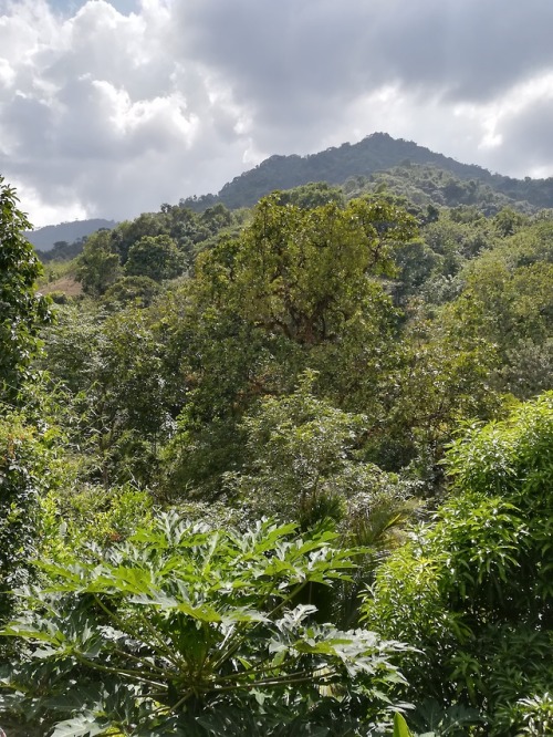 Minca - Colombia