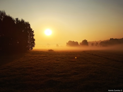 morning fog