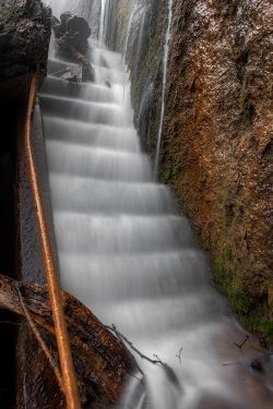 sixpenceee: These forgotten stairs are now a waterfall. 