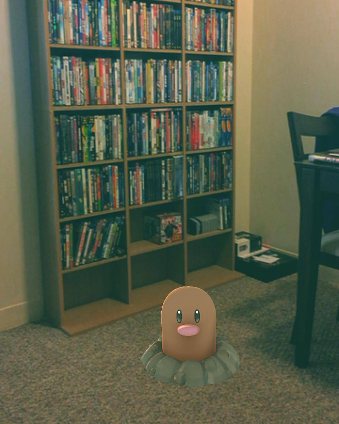 Thanks a lot, Diglett!
Now I’m definitely not getting my security deposit back! #PokemonGO