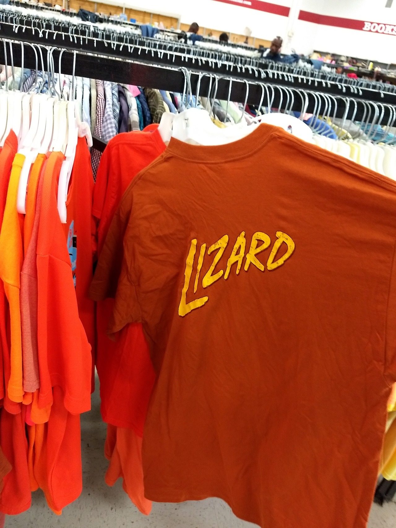 thyrell: portmanteau-bot:   shiftythrifting:  (lizard) Lizard  lizard + lizard =