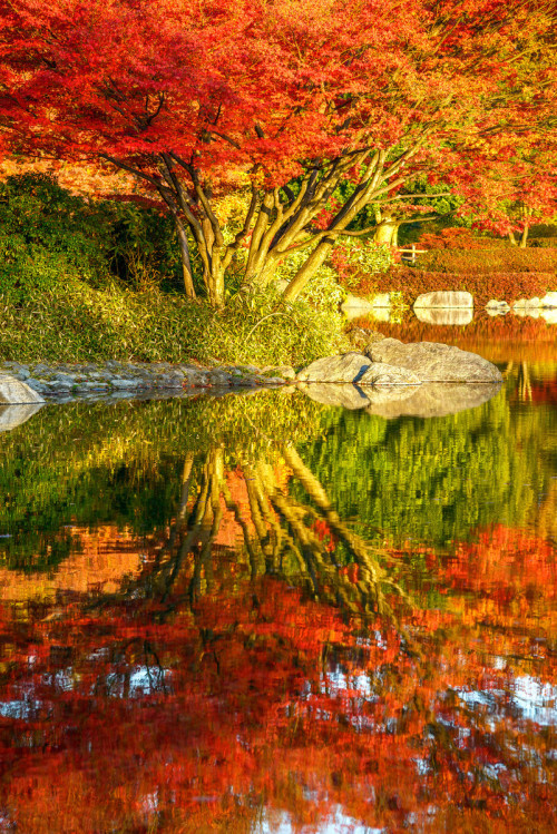 jasonarney:RowQuality: smu.gs/1jMxFEm Japanese gardens create a wonderful adventure