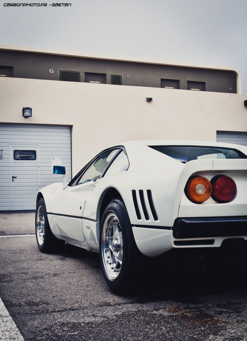 carbonphoto:  288 GTO Website || Facebook || Tumblr