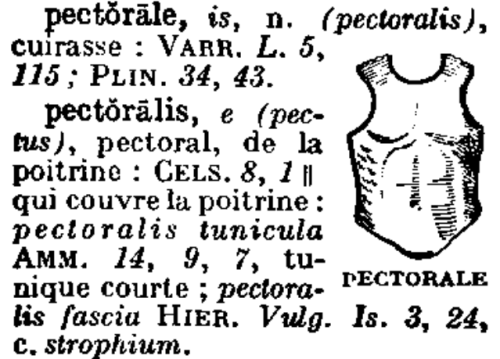 pectorale