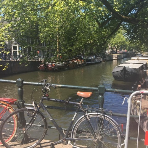 Houseboats on a canal. #houseboat #houseboatlife #canallife #amsterdam #amsterdamcanals #amsterdamli