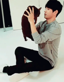  아인 