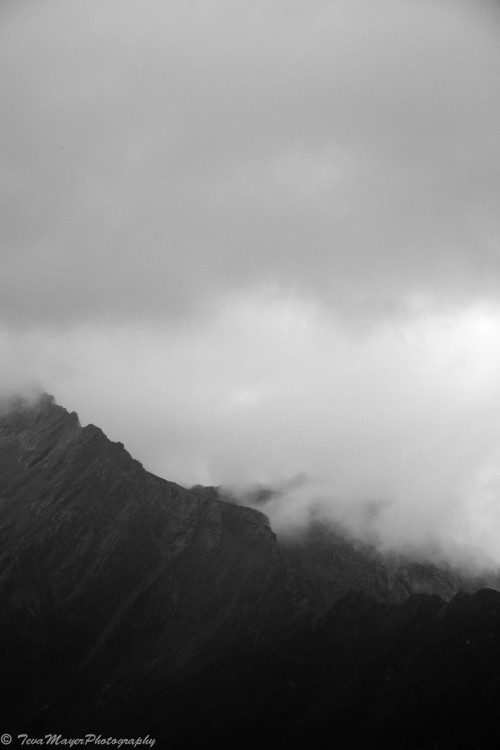 Mountain StudyRouteburn Great Walk, New Zealand