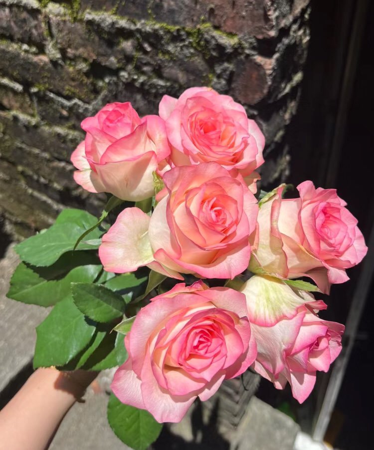 aesthetics etc on X: #pink #black #shadow #rose #chanel #boy #girl  #aesthetic #aesthetics #mood #tumblr  / X