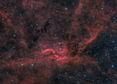 spacettf: Propeller_screen by neutronman61 on Flickr. Tramite Flickr: Propeller Nebula in Cygnus. RA