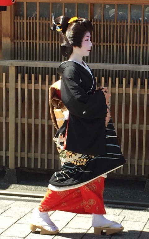 geisha-kai:  Erikae of geiko Katsutomo from Gion Kobu by raspberry-yuri - blog Her