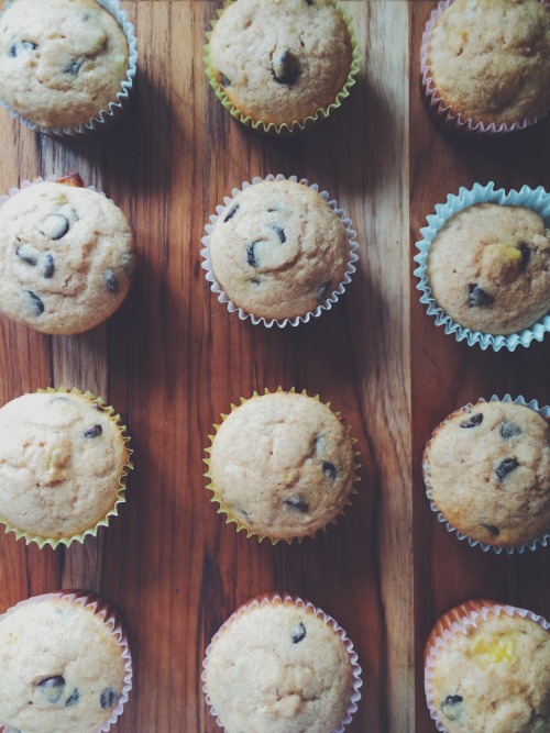 folk-yourself:It’s a banana chocolate chip muffin kinda morning.