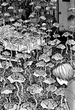 chanty-chuu:  Uzumaki Junji Ito 