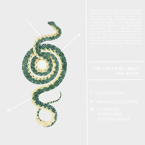 deadgwen: → ¼ hogwarts houses [revamped]: slytherin 