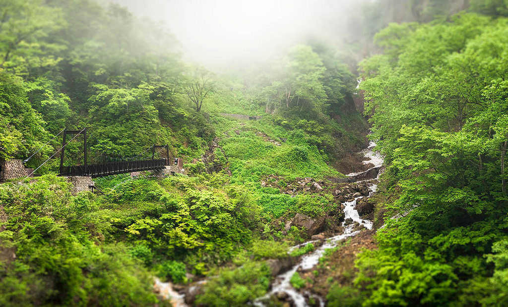 quiet-nymph:      Tsubame Onsen  by Myoko Tourism  