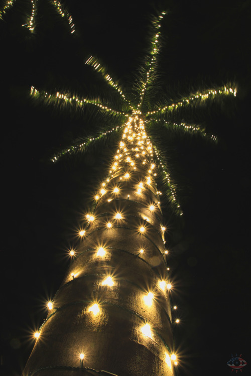 eyeamerica:  Palm Beach Island, Florida. December 28th, 2014