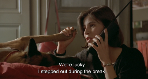 hirxeth:Three Colors: Red (1994) dir. Krzysztof Kieślowski