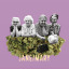 janeandmary