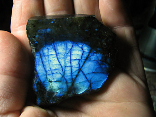 shrimpwonder:garrettryne:LabradoriteOh man Labradorite is really cool because that milky white shine