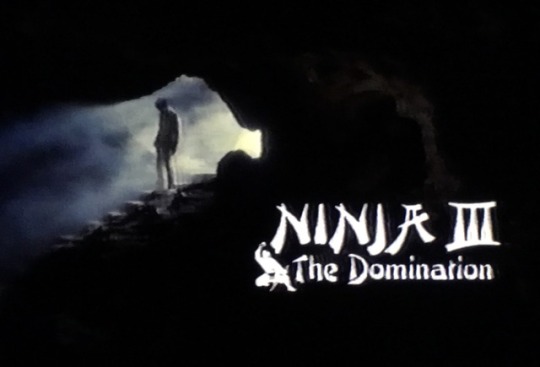 enter the ninja 3