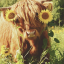 countrygirl2014