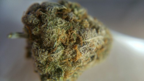 weed-breath:  Different qualities of light on one frosty nug 