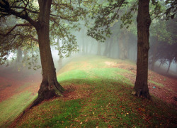 tulipnight:  Autumn fog by KENNETH BARKER