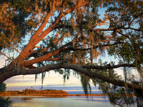 hueandeyephotography