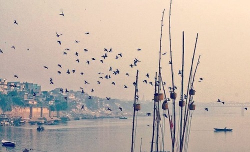#varanasi #ganga #birds #kashi #banaras #benares (at Varanasi, India)