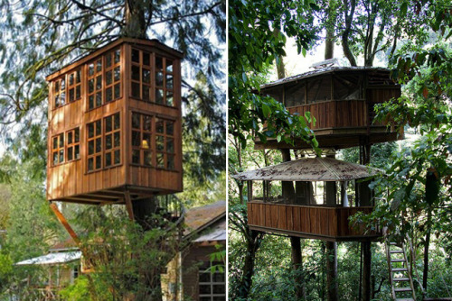 maryjani:  wild-nirvana:  ॐ My Spiritual World☽  Okay who’s gonna live in one of these tree houses with me! Haha;)